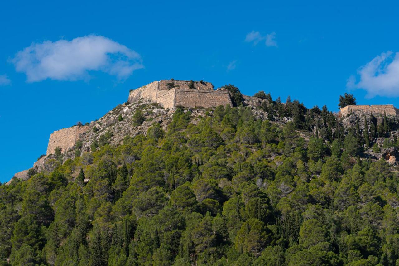 Villa Galini Asos Buitenkant foto
